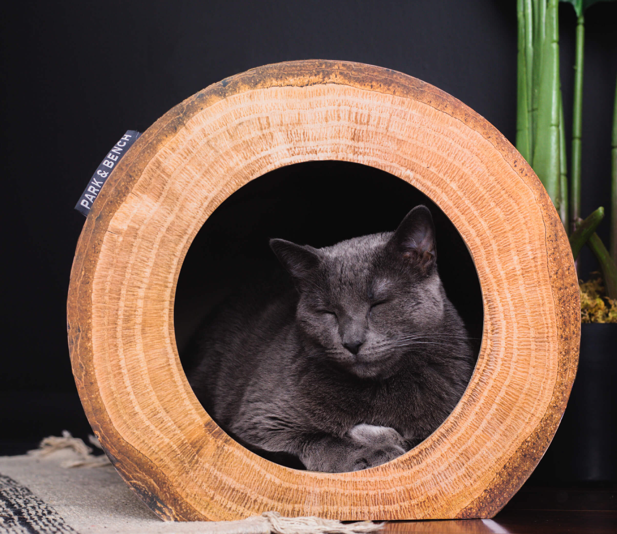 Don’t sacrifice your furniture because your cat scratches. Corrugated cardboard, an enticing smell, and an exercise-promoting design encourages cats to scratch and mark on their logs rather than your furniture.